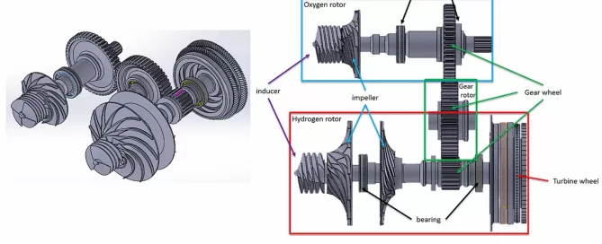 Diagram of a turbopump model showing labeled components: oxygen rotor, hydrogen rotor, inducer, impeller, gear wheel, turbine wheel, and bearings.