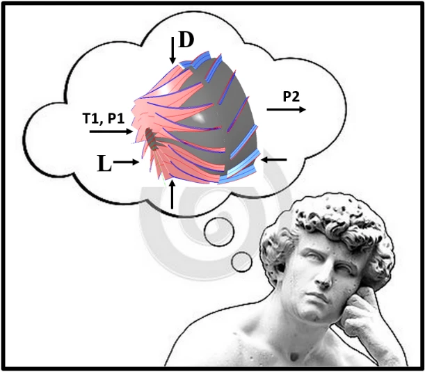 Preliminary Design Explained