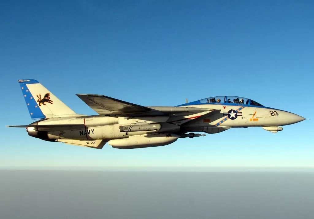 US_Navy_051010-N-5088T-001_A_specially_painted_F-14D_Tomcat,_assigned_to_the_Blacklions_of_Fighter_Squadron_Two_One_Three_(VF-213),_conducts_a_mission_over_the_Persian_G