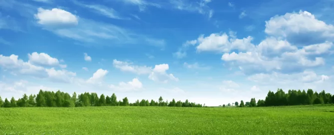A vast green field under a blue sky with scattered clouds and a line of trees in the distance.
