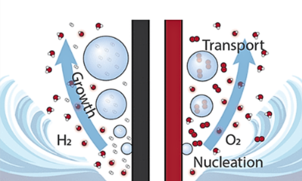 Diagram of gas bubbles generated by the hydrogen evolution reaction and oxygen evolution reaction during water electrolysis