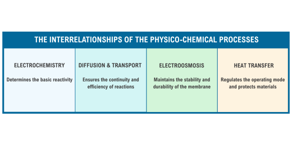 Chart showing the interrelationships of the physico-chemical processes in electrolyzers
