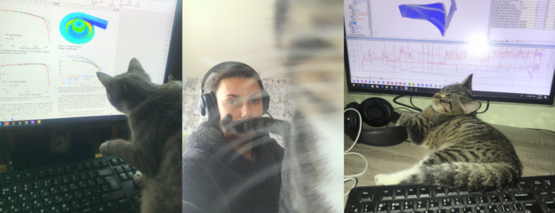 Image collage of Anna Vorobyova and her two cats while she works at her home office for SoftInWay