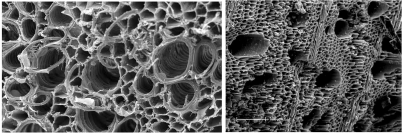 Image of porous thermal-insulation structures, magnified